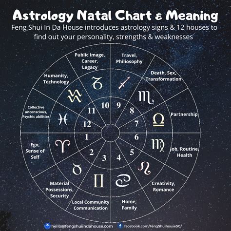 Feng Shui Natal Chart