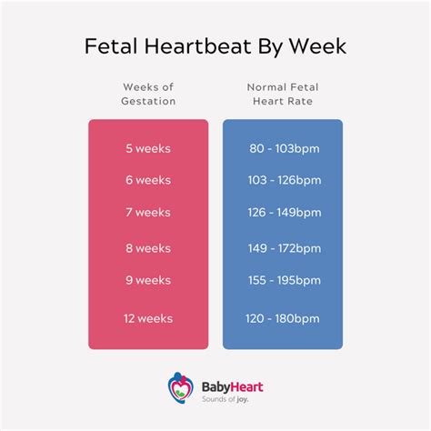 Fetal Heart Beat Chart