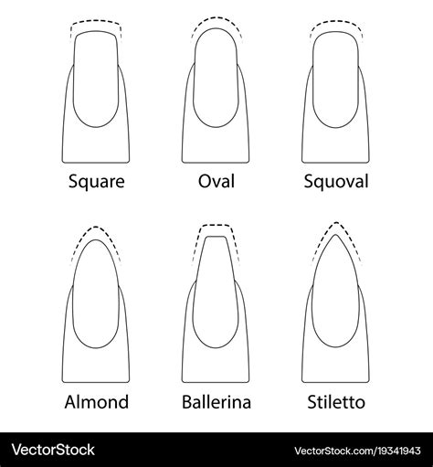 Fingernail Shape Template