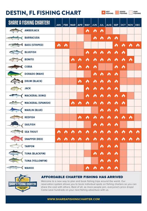 Florida Fish Season Chart