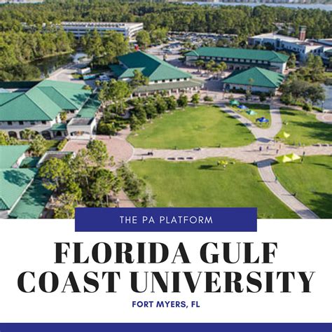 Florida Gulf Coast University Course Catalog