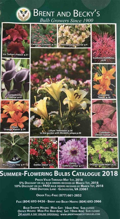 Flower Bulb And Seed Catalogs