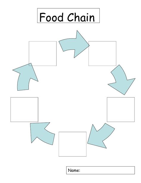 Food Chain Template