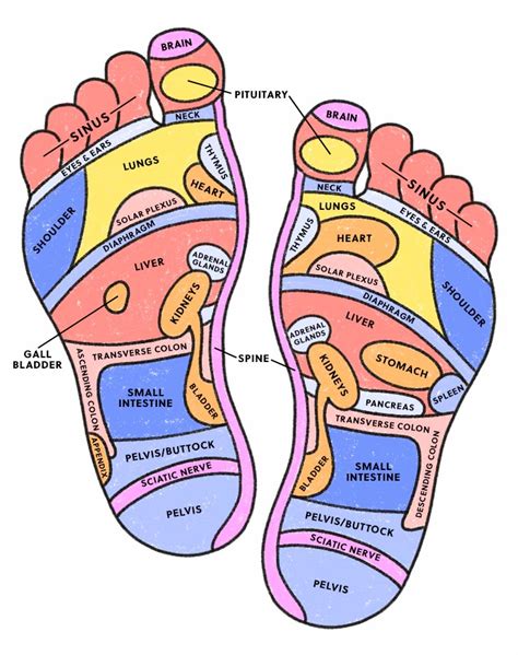 Foot Massage Chart For Pressure Points