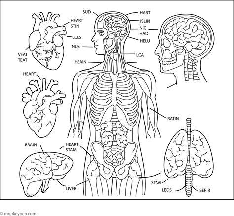 Free Anatomy Coloring Pages Printable
