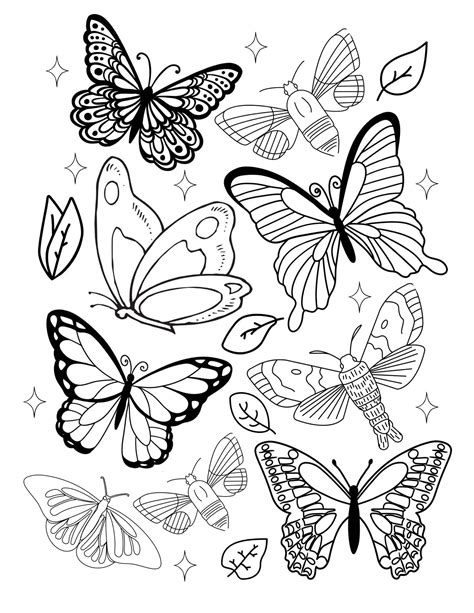Free Butterfly Coloring Printables