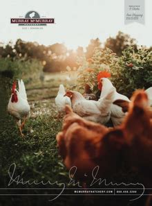 Free Hatchery Catalogs By Mail Usa