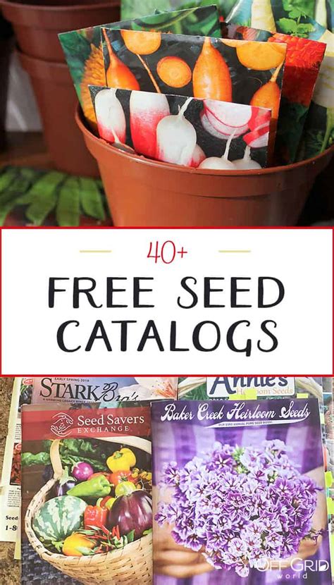 Free Herb Catalogs By Mail