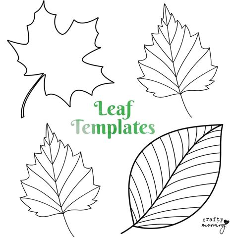 Free Leaf Templates