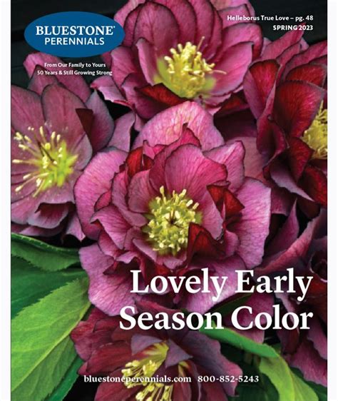 Free Perennial Plant Catalogs