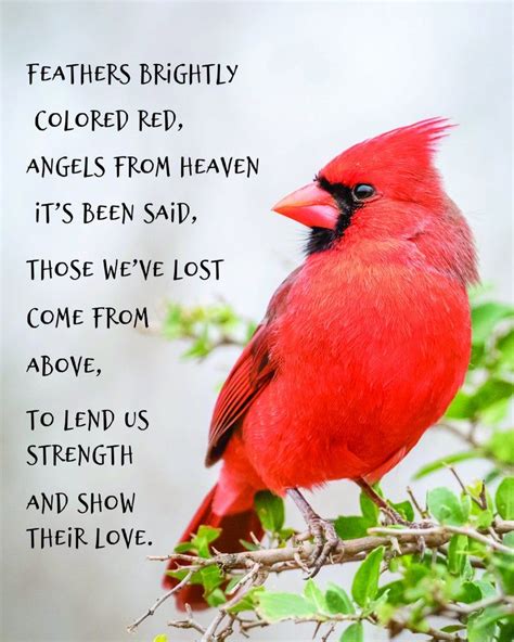 Free Printable Cardinal Poem