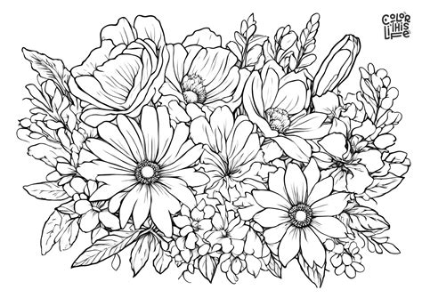 Free Printable Coloring Pages Of A Flower For Adults Advanced