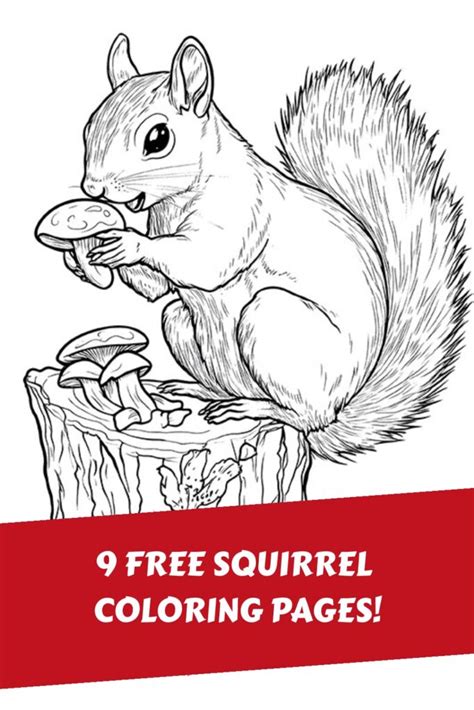 Free Printable Coloring Pages Of Squirrels