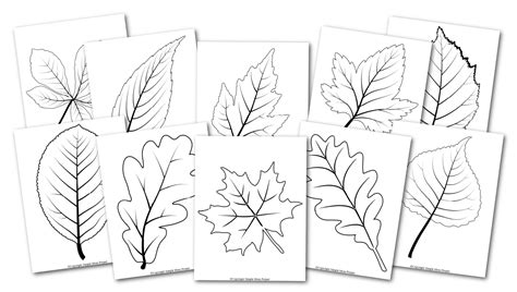 Free Printable Fall Leaf Patterns