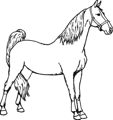 Free Printable Horse Pictures To Color