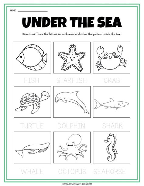 Free Printable Ocean Worksheets For Preschoolers