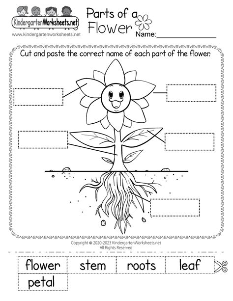 Free Printable Parts Of A Flower Worksheet