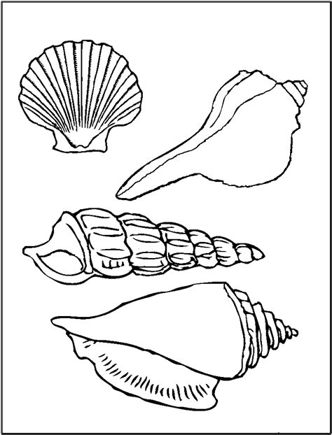 Free Printable Pictures Of Sea Shells