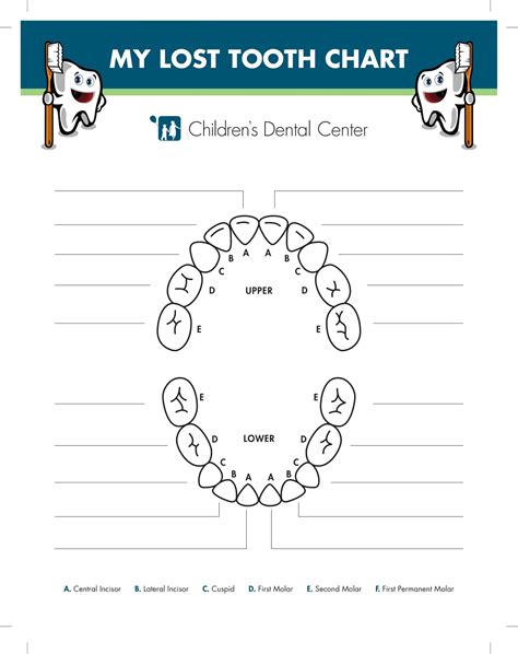 Free Printable Teeth Chart