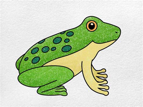 Frog Drawings Easy