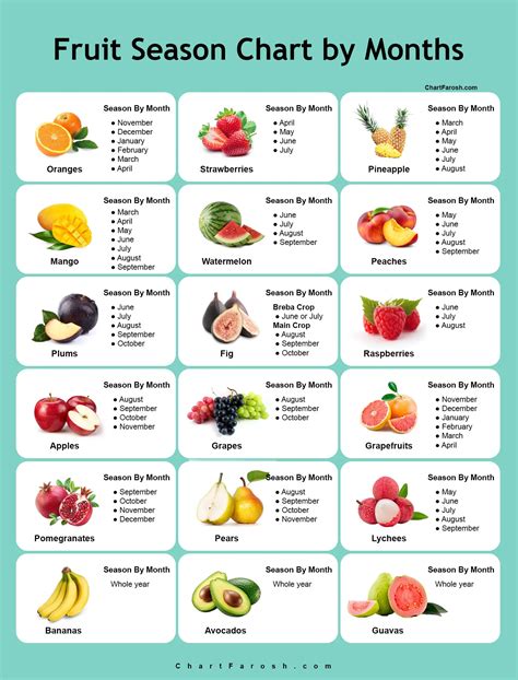 Fruit By Season Chart