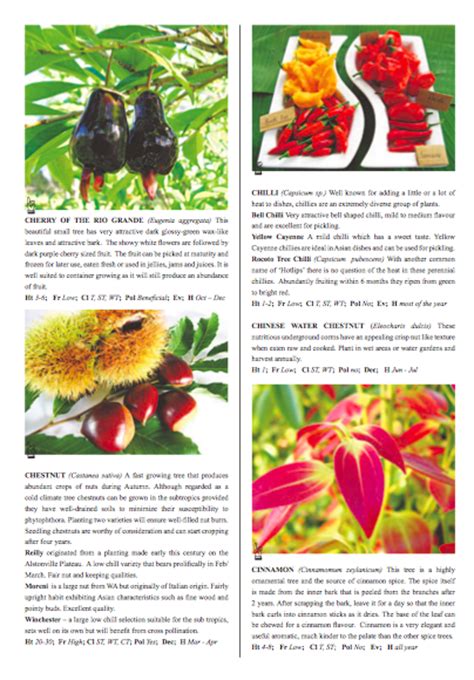 Fruit Tree Catalogs By Mail