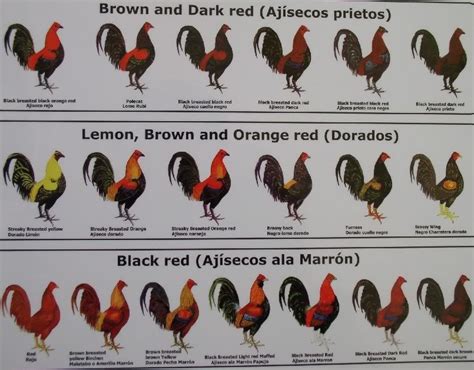 Game Fowl Breeding Chart