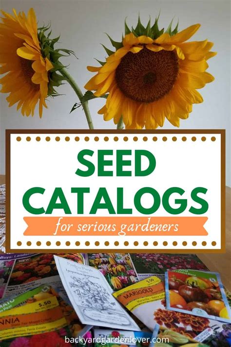 Garden Seed And Plant Catalogs