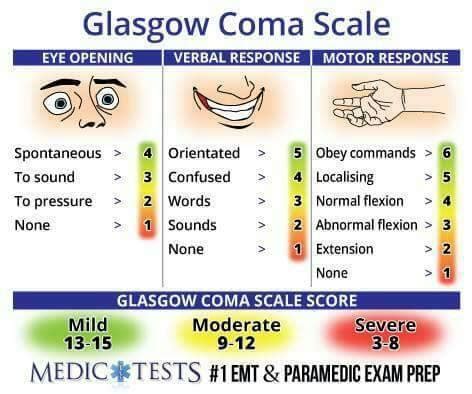 Gcs Scoring Chart