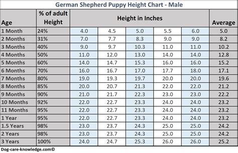 German Shepherd Height Chart