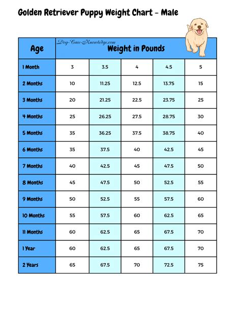 Golden Puppy Weight Chart
