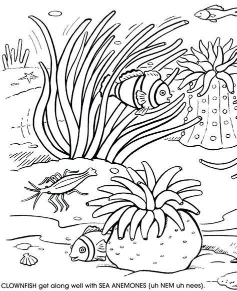 Great Barrier Reef Coloring Page