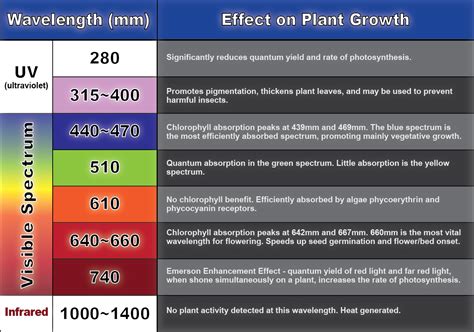 Grow Light Spectrum Chart