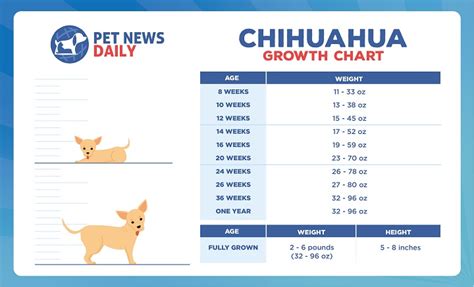 Growth Chart Chihuahua