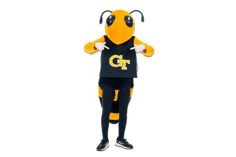 Gt Career Buzz