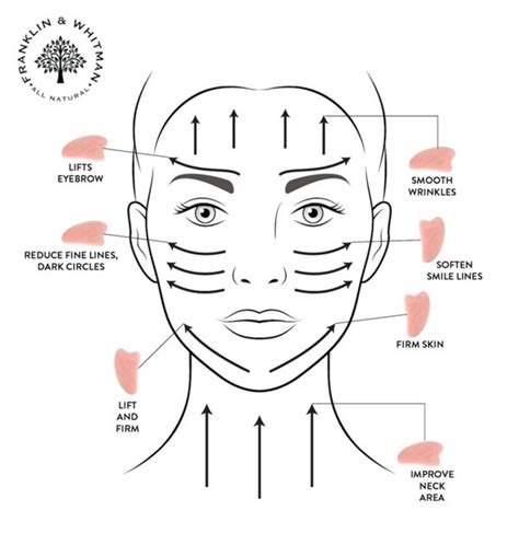 Gua Sha Chart