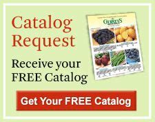 Guernsey Seed Catalog