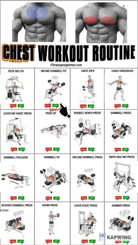 Gym Chart Chest Workout