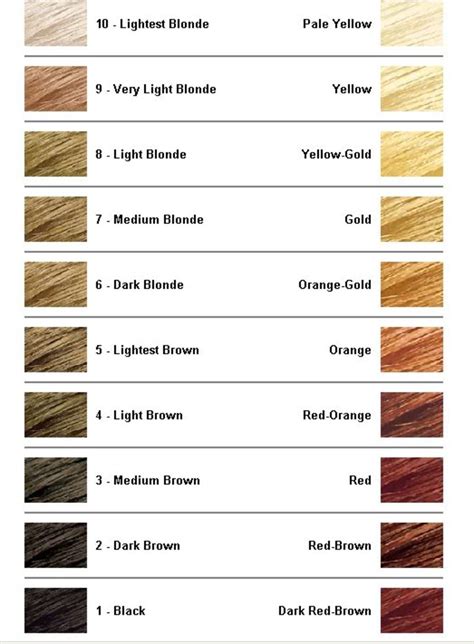 Hair Bleach Chart