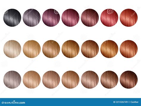 Hair Color Swatch Chart