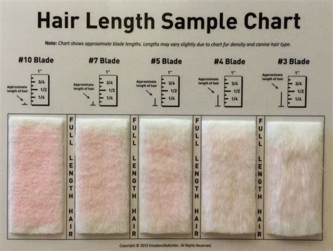 Hair Length Dog Grooming Blade Chart