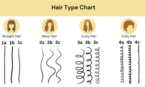 Hair Type Chart 1a 4c