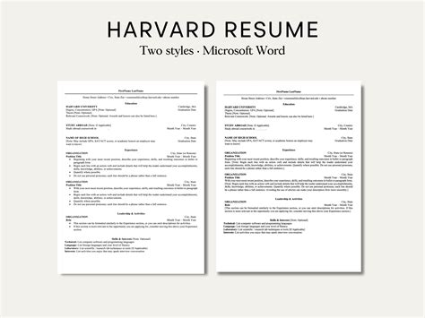 Harvard Style Resume Template Word