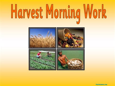 Harvest Time And Wasted Time Chart For Farm Town