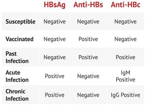 Hepatitis B Labs Interpretation Chart