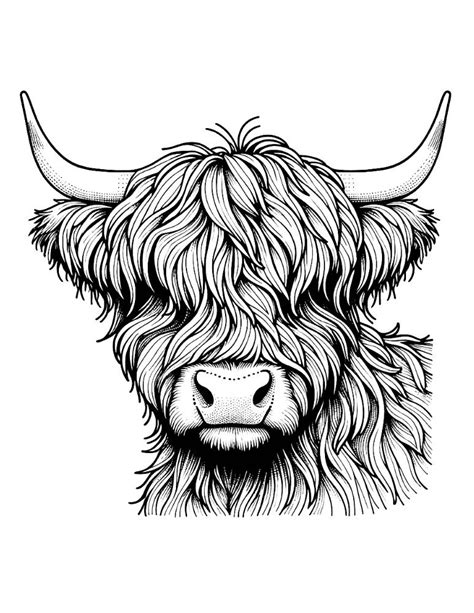 Highland Cow Printable