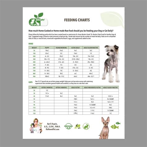 Homemade Dog Food Serving Size Chart