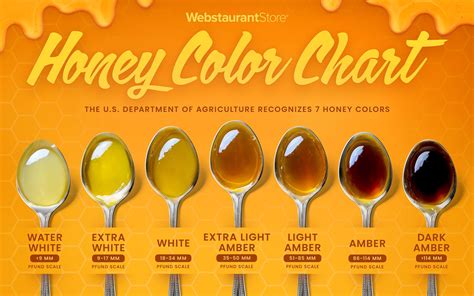 Honey Colour Chart