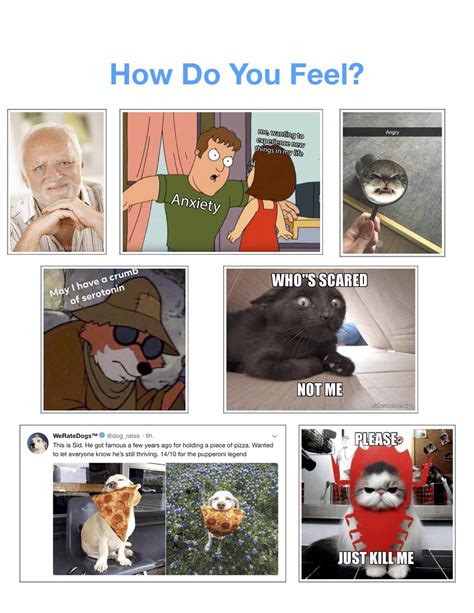 How Are You Feeling Meme Chart