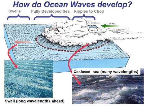 How Do Waves In The Ocean Form